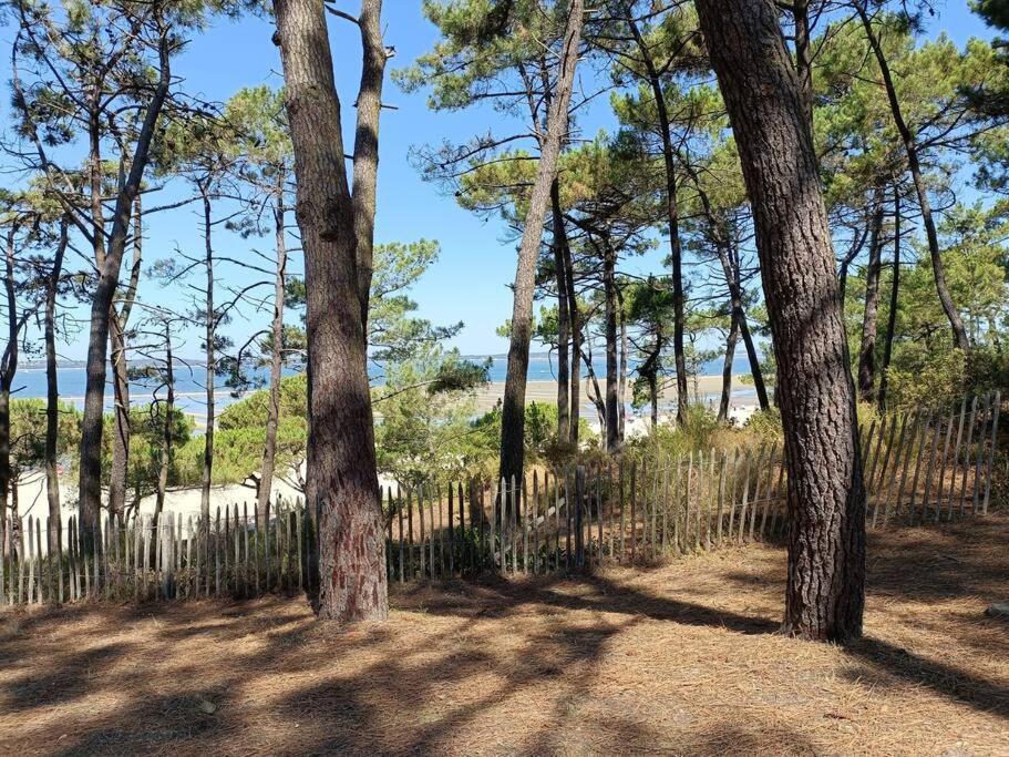 Chez Ced - Gujan-Mestras / Bassin D'Arcachon Exterior foto